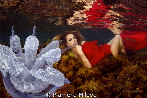The Underwater Maja by Plamena Mileva 